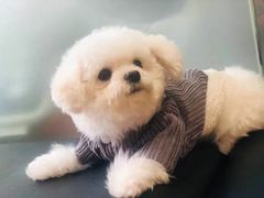 -PETKIT小佩宠物(昭化店)