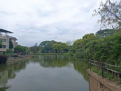 -顺峰山公园