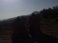 -塔川景区