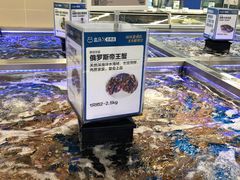 -盒马X会员店(上海森兰商都店)