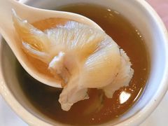 -金龙餐厅(圆山大饭店)