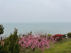 -燕儿岛山公园