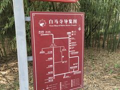 -洛阳白马寺