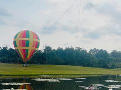 -中国科学院西双版纳热带植物园