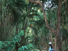 -人民公园(罗湖区)