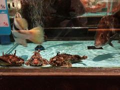 -阿伟海鲜楼·福建菜(延寿店)