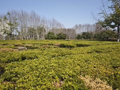 -白塘生态植物园