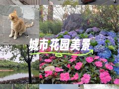 -北园酒家(小北路店)