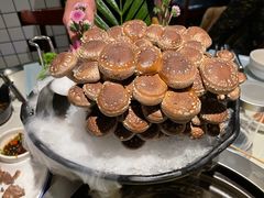 活体松香菇-三不牛腩(宾虹路店)
