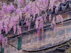 -老门东历史文化街区