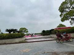 -上海都市菜园