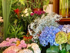 -静岸花卉园艺(三星坊店)