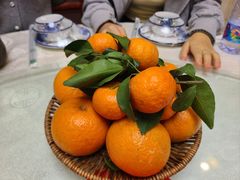 -津津名菜馆(绝没分店)