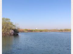 -大兴滨河森林公园