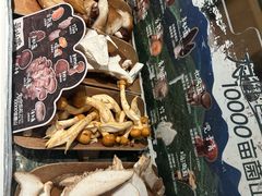 -芸山季·云南山珍菌火锅(南翔印象城MEGA店)