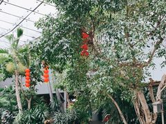 -北京植物园-展览温室