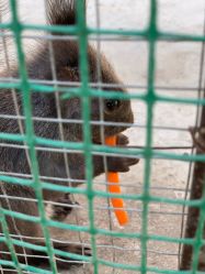 -萌宠亲子动物乐园(槐房万达店)