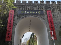-宜兴龙背山森林公园