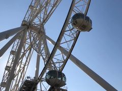 -墨尔本之星 观景摩天轮