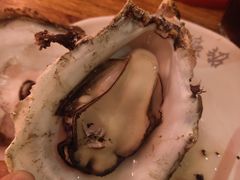 -烧蠔帮·生蚝海鲜牌档(观海店)