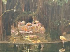 -九龙公园