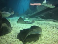 -福州罗源湾海洋世界旅游区