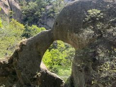 -六里坪国家森林公园