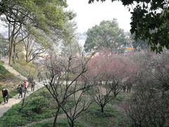 -团城山公园