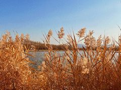 -野鸭湖国家湿地公园