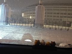 -鼎鼎香·港式火锅(北京SKP店)