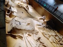 -洛阳周王城天子驾六博物馆