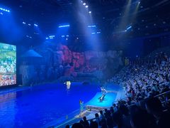 -芜湖新华联大白鲸海洋公园