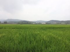 iphone_upload_pic-帽儿山风景区