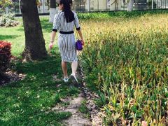 -上海鲜花港