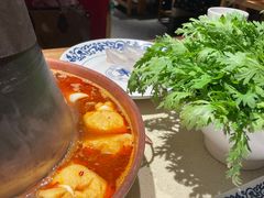 -东镇老火锅(长春路首店)