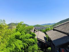 -大唐贡茶院