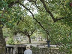 -楠溪江风景名胜区