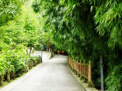 -贵阳市花溪国家城市湿地公园