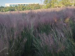 -艾溪湖湿地公园