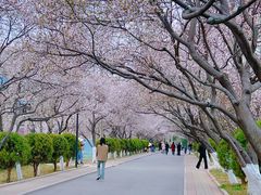 -山东师范大学(千佛山校区)
