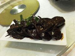 android_upload_pic-湖庭壹品鸭王·传统北京烤鸭·别墅私房菜·庭院宵夜(江宁店)