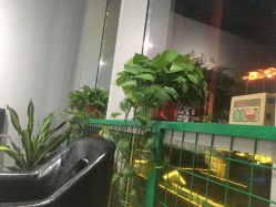 大厅-发饰美男士增发补发假发定制店