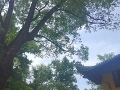 -南华禅寺