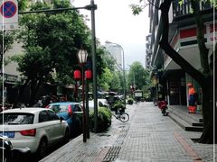 -泡桐树街