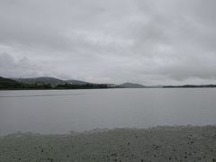-长广溪湿地公园