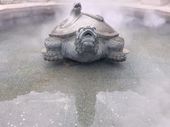 -广东圆玄道观
