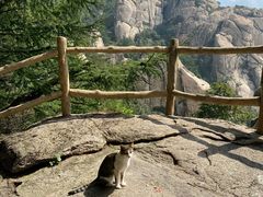 -崂山巨峰游览区
