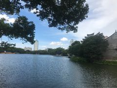 -月湖公园