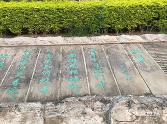 重庆旅游海棠烟雨公园游玩攻略