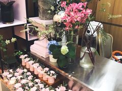 -蝶舍·MAISON PAPILLON